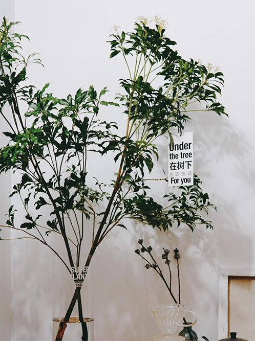 2022062116557776021013225238.png 4.png