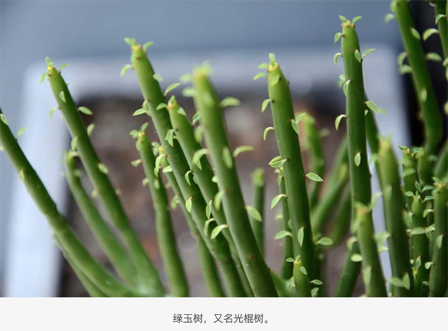 2022062116557777071015079500.png 7.png